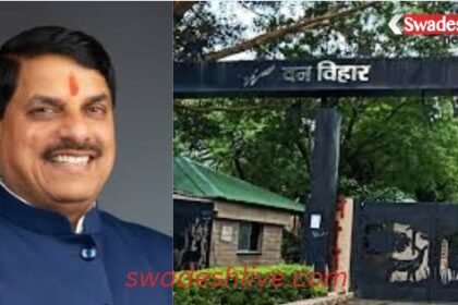 Chief Minister Dr. Yadav will inaugurate the state level wildlife week.