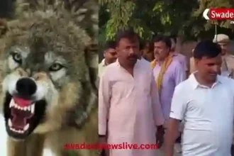 Bahraich: 4 children killed in wolf attack, DM orders speeding up rescue operation