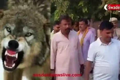 Bahraich: 4 children killed in wolf attack, DM orders speeding up rescue operation