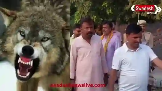 Bahraich: 4 children killed in wolf attack, DM orders speeding up rescue operation