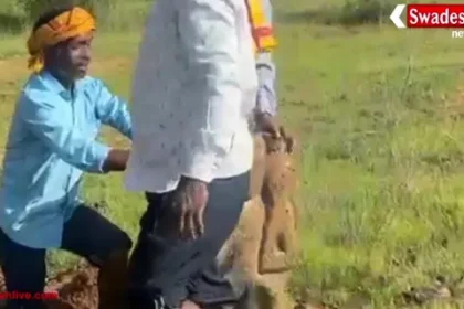 कांकेर: त्रिकुटी तालाब की खुदाई में मिली प्राचीन हनुमान जी की मूर्ति, क्षेत्र में उमड़ी भक्तों की भीड़