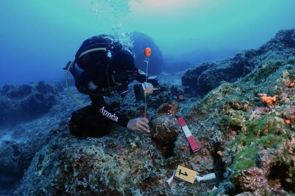 समंदर के गर्भ में छिपे खजाने की खोज: भारत को मिली ऐतिहासिक मंज़ूरी