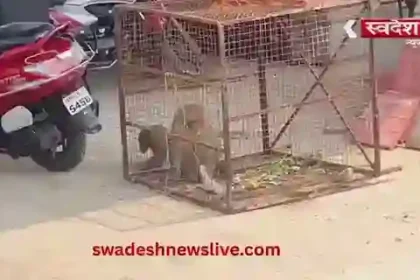 bizuri-railway-station-bandar-aankh-dahshat-rescue-anuppur