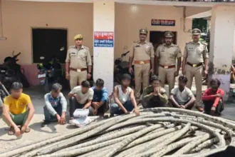 आगरा पुलिस ने बीएसएनएल की कॉपर केबल चोरी करने वाले एक बड़े गिरोह का पर्दाफाश किया है। पुलिस ने आठ आरोपियों को गिरफ्तार कर उनके कब्जे से चोरी की गई केबल और हाइड्रा मशीन समेत कई उपकरण बरामद किए। चोरी गई कॉपर केबल की कीमत करीब 15 लाख रुपये बताई जा रही है। घटना कैसे हुई थाना रकाबगंज क्षेत्र के बालूगंज स्थित चीलघर चौराहा से पीडब्ल्यूडी तिराहे के बीच BSNL की 1200 पेयर की अंडरग्राउंड कॉपर केबल डाली गई थी, जिसकी लंबाई लगभग 325 मीटर थी। 20-21 सितंबर की रात चोरों ने हाइड्रा मशीन की मदद से केबल निकाली और उसे 27 टुकड़ों में काट दिया। इसके बाद टुकड़ों को झाड़ियों में छिपा दिया गया। पुलिस की कार्रवाई शिकायत मिलने के बाद पुलिस ने अलग-अलग टीमों का गठन किया। 22 सितंबर को मुखबिर की सूचना पर पुलिस ने केसर होटल, मजार के पीछे से आठ आरोपियों को दबोच लिया। पुलिस ने मौके से हाइड्रा मशीन, कॉपर केबल, 6 मोबाइल फोन, ब्लेड, गंडासा, आरी और लकड़ी के गट्टे बरामद किए। आरोपियों के बयान पूछताछ में आरोपियों ने बताया कि उन्हें एक शख्स ‘लाला’ ने BSNL का ठेकेदार बताकर काम में शामिल किया था। उसी ने उन्हें चोरी की योजना में लगाया और मैनपुरी से हाइड्रा मशीन मंगवाई। चोरी की गई केबल को वे लोग 22 सितंबर को बेचने की तैयारी में थे, तभी पुलिस ने उन्हें पकड़ लिया। गिरफ्तार आरोपी पुलिस ने जिन 8 लोगों को गिरफ्तार किया है, उनके नाम इस प्रकार हैं: मोहम्मद फैसल राघवेंद्र कुमार मोहम्मद वाहिद मोहम्मद मुस्लिम मोहम्मद शाहिद आमिर सागर मोहम्मद असलम पुलिस अब दिल्ली निवासी लाला नामक ठेकेदार की तलाश कर रही है, जो इस चोरी का मास्टरमाइंड माना जा रहा है। निष्कर्ष आगरा में BSNL कॉपर केबल चोरी का यह मामला दिखाता है कि किस तरह संगठित गिरोह सरकारी संपत्ति पर हाथ साफ कर रहे हैं। पुलिस की तत्परता से जहां आरोपी पकड़ लिए गए, वहीं अब मास्टरमाइंड की तलाश जारी है।