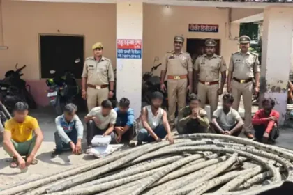 आगरा पुलिस ने बीएसएनएल की कॉपर केबल चोरी करने वाले एक बड़े गिरोह का पर्दाफाश किया है। पुलिस ने आठ आरोपियों को गिरफ्तार कर उनके कब्जे से चोरी की गई केबल और हाइड्रा मशीन समेत कई उपकरण बरामद किए। चोरी गई कॉपर केबल की कीमत करीब 15 लाख रुपये बताई जा रही है। घटना कैसे हुई थाना रकाबगंज क्षेत्र के बालूगंज स्थित चीलघर चौराहा से पीडब्ल्यूडी तिराहे के बीच BSNL की 1200 पेयर की अंडरग्राउंड कॉपर केबल डाली गई थी, जिसकी लंबाई लगभग 325 मीटर थी। 20-21 सितंबर की रात चोरों ने हाइड्रा मशीन की मदद से केबल निकाली और उसे 27 टुकड़ों में काट दिया। इसके बाद टुकड़ों को झाड़ियों में छिपा दिया गया। पुलिस की कार्रवाई शिकायत मिलने के बाद पुलिस ने अलग-अलग टीमों का गठन किया। 22 सितंबर को मुखबिर की सूचना पर पुलिस ने केसर होटल, मजार के पीछे से आठ आरोपियों को दबोच लिया। पुलिस ने मौके से हाइड्रा मशीन, कॉपर केबल, 6 मोबाइल फोन, ब्लेड, गंडासा, आरी और लकड़ी के गट्टे बरामद किए। आरोपियों के बयान पूछताछ में आरोपियों ने बताया कि उन्हें एक शख्स ‘लाला’ ने BSNL का ठेकेदार बताकर काम में शामिल किया था। उसी ने उन्हें चोरी की योजना में लगाया और मैनपुरी से हाइड्रा मशीन मंगवाई। चोरी की गई केबल को वे लोग 22 सितंबर को बेचने की तैयारी में थे, तभी पुलिस ने उन्हें पकड़ लिया। गिरफ्तार आरोपी पुलिस ने जिन 8 लोगों को गिरफ्तार किया है, उनके नाम इस प्रकार हैं: मोहम्मद फैसल राघवेंद्र कुमार मोहम्मद वाहिद मोहम्मद मुस्लिम मोहम्मद शाहिद आमिर सागर मोहम्मद असलम पुलिस अब दिल्ली निवासी लाला नामक ठेकेदार की तलाश कर रही है, जो इस चोरी का मास्टरमाइंड माना जा रहा है। निष्कर्ष आगरा में BSNL कॉपर केबल चोरी का यह मामला दिखाता है कि किस तरह संगठित गिरोह सरकारी संपत्ति पर हाथ साफ कर रहे हैं। पुलिस की तत्परता से जहां आरोपी पकड़ लिए गए, वहीं अब मास्टरमाइंड की तलाश जारी है।