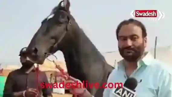 Pushkar Fair: 15 crore horse becomes the center of attraction, you will be surprised to know its features