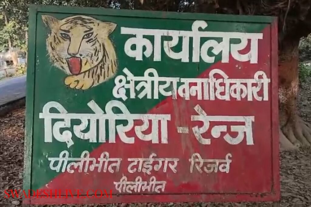 Pilibhit: Drunk forest officer slaps watcher