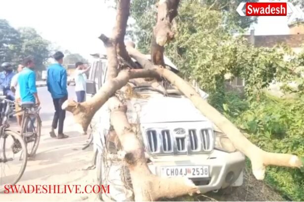 Kushinagar: High speed Bolero collides with tree, two dead, two seriously injured