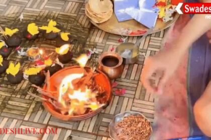 Dantewada: Weapon worship takes place in every home on Vijayadashami