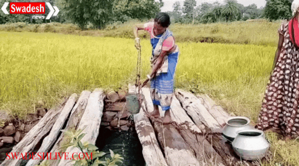 The villagers of Wala village in Kanker are still forced to drink water from farm wells.