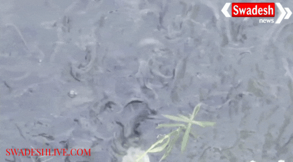 Moradabad: Illegal farming of banned fishes in Bilari area increases water pollution