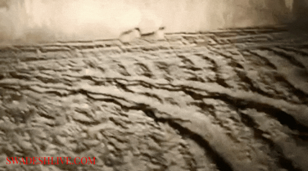 Hapur: Pair of leopards spotted in a field, panic grips village