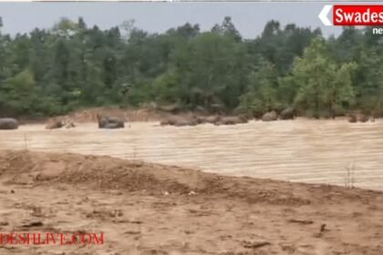 Elephants have fun in Raigad: A herd of 48 elephants descended into a pond.