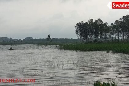 Hazaribagh: Water level rises in Gonda Dam due to continuous rain