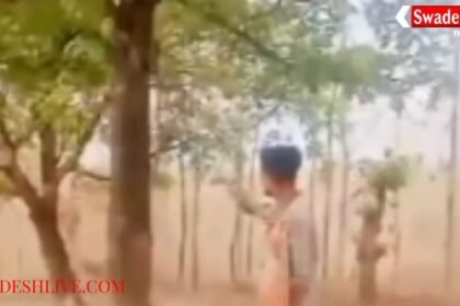 Bullies are emboldened: Video of them firing at a tree goes viral