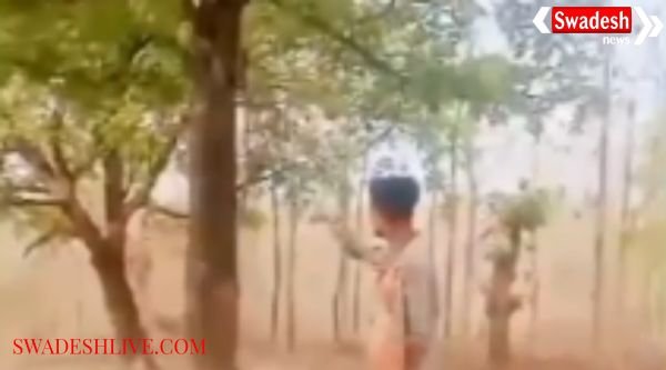 Bullies are emboldened: Video of them firing at a tree goes viral