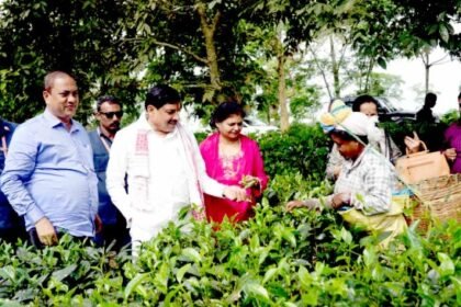 Madhya Pradesh-Assam preparing for special partnership in wildlife tourism and eco-tourism: Chief Minister Dr. Yadav