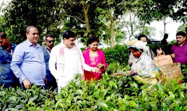 Madhya Pradesh-Assam preparing for special partnership in wildlife tourism and eco-tourism: Chief Minister Dr. Yadav