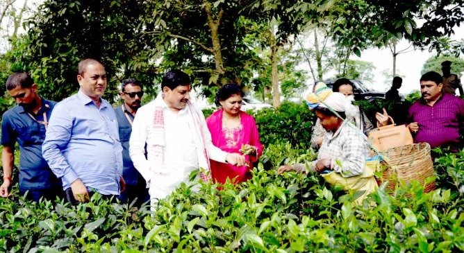 Madhya Pradesh-Assam preparing for special partnership in wildlife tourism and eco-tourism: Chief Minister Dr. Yadav