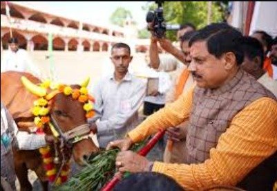 Chief Minister Dr. Yadav appealed to celebrate Govardhan Puja in every home, every cowshed and every village.