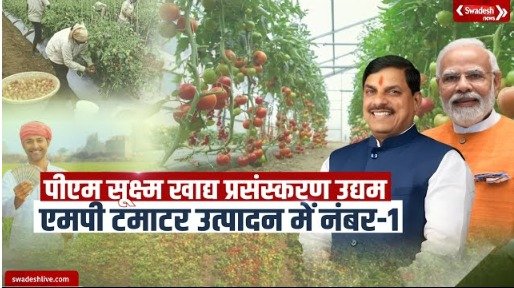 Pradhan Mantri Micro Food Processing Enterprises, MP No-1 in Tomato Production