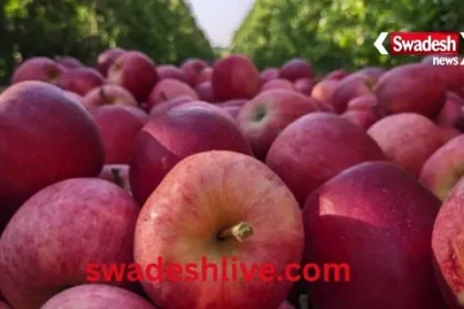 an apple a day keeps the doctor away