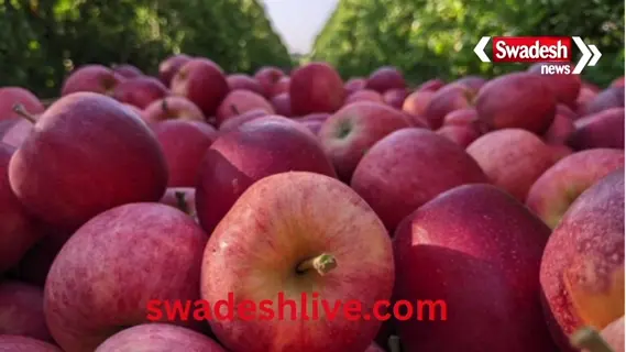 an apple a day keeps the doctor away