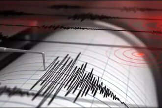 Earthquake Tremors