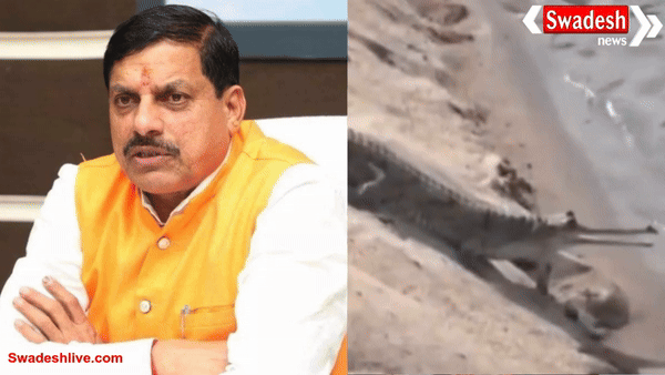 CM खंडवा दौरा: मुख्यमंत्री डॉ. मोहन यादव आज इंदिरा सागर जलाशय में छोड़ेंगे 6 मगरमच्छ