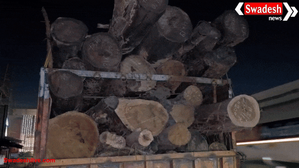 अम्बिकापुर ब्रेकिंग: बिना होलमार्क की साल लकड़ी के अवैध परिवहन का मामला