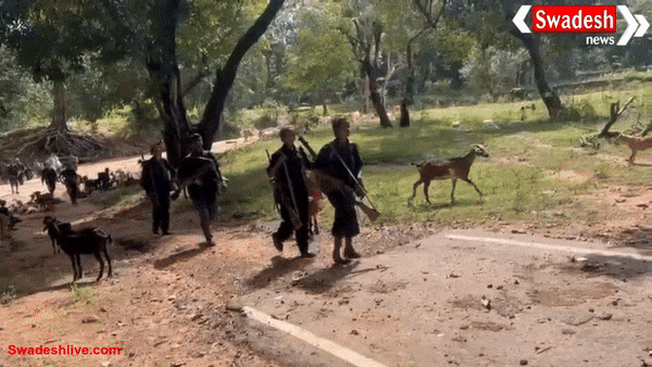 बस्तर में 21 माओवादी हथियारबंद सदस्य हुए आत्मसमर्पण, 13 महिलाएं शामिल
