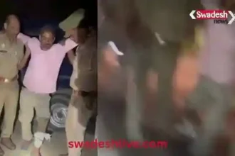 Sonbhadra: Cow smuggler injured in police encounter, one arrested, four absconding, 14 cattle recovered