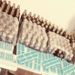 छत्तीसगढ़ की 10 बड़ी खबरें: 3 अक्टूबर 2025