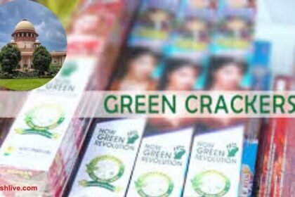 दिल्ली-एनसीआर में दिवाली पर ग्रीन पटाखों की अनुमति, सुप्रीम कोर्ट ने तय की शर्तें