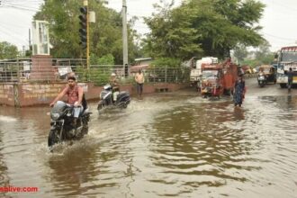 एमपी में 20 जिलों में बारिश, श्योपुर में सबसे ज्यादा: अगले 3 दिन भी बरसात का अलर्ट