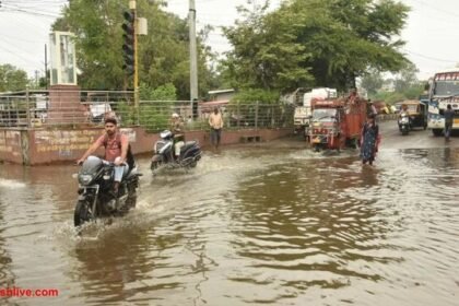 एमपी में 20 जिलों में बारिश, श्योपुर में सबसे ज्यादा: अगले 3 दिन भी बरसात का अलर्ट