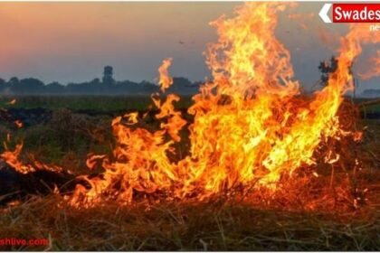 पंजाब में पराली जलाने के मामले बढ़े, FIR और जुर्माने के बाद भी नहीं रुकी लापरवाही
