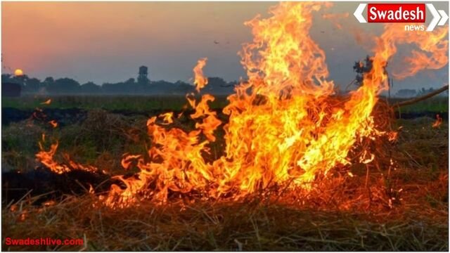 पंजाब में पराली जलाने के मामले बढ़े, FIR और जुर्माने के बाद भी नहीं रुकी लापरवाही