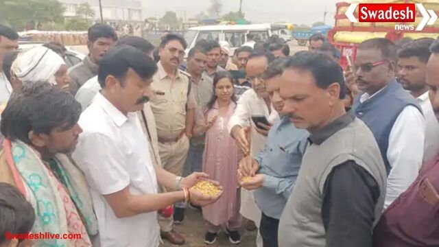 मध्य प्रदेश की 10 बड़ी खबरें: 31 अक्टूबर 2025