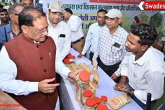 छत्तीसगढ़ की 10 बड़ी खबरें: 12 अक्टूबर 2025