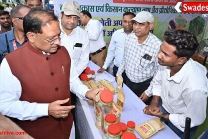 छत्तीसगढ़ की 10 बड़ी खबरें: 12 अक्टूबर 2025