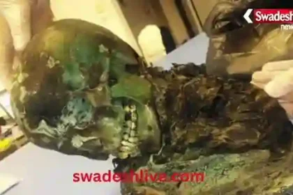 The mystery of the coffin: A teenager sleeping in the basement, why did he turn 'green' centuries later, an unsolved combination of death and metal?