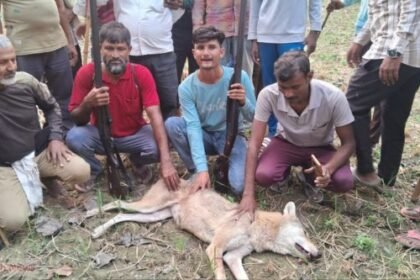 Bahraich: Wolf terror ends