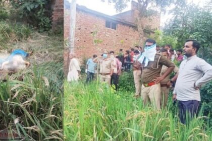 Sensation in Basti: Unidentified woman's body found in field