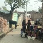 Masked men brutalized a girl in Mathura.