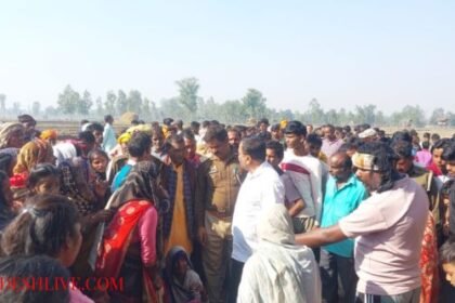 Youth dies after being attacked by tiger in Tanda Chhatrapati