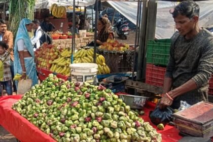 Sabalgarh: Chemicals used to brighten water chestnuts, viral video exposes adulteration