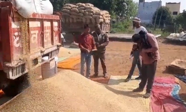 Procurement started after uproar: Chaos in Dhamtari paddy centers due to employee strike, farmers protest