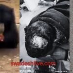 Bear attacks teacher during morning walk: Panic in Sarona, Forest Department and police on alert