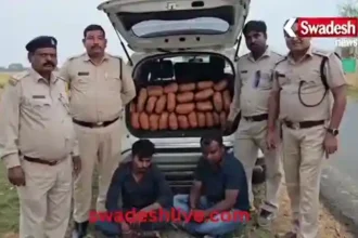 Ambikapur: Major action by excise department, biggest marijuana smuggling racket exposed, two arrested
